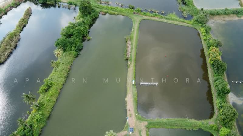 นครชัยศรี, Nakhon Pathom, Tha Phraya, Nakhon Chai Sri, Nakhon Pathom, , 19,200 sqm, Land For Sale, by Apaporn Muanthorani, 500501167 - DDproperty.com