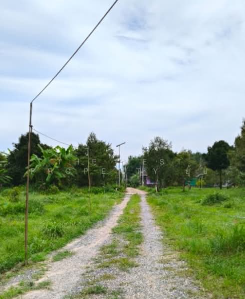 ที่ดินท่าช้าง จันทบุรี, จันทบุรี, ท่าช้าง, เมืองจันทบุรี, จันทบุรี, 3,200 ตร.ม., ที่ดิน ขาย, โดย The Best Property ยุ้ย, 500501208 - DDproperty.com