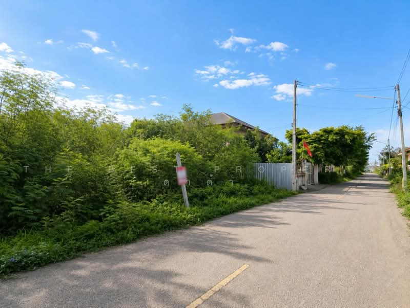 ที่ดินลาดใหญ่ สมุทรสงคราม, Samut Songkhram, Lat Yai, Muang Samut Songkhram, Samut Songkhram, , 277 sqm, Land For Sale, by The Best Property ดาด้า, 500501285 - DDproperty.com