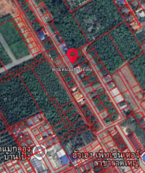 ที่ดินลาดใหญ่ สมุทรสงคราม, สมุทรสงคราม, ลาดใหญ่, เมืองสมุทรสงคราม, สมุทรสงคราม, 277 ตร.ม., ที่ดิน ขาย, โดย The Best Property ดาด้า, 500501285 - DDproperty.com