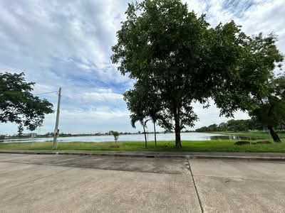 ขาย - Panya Lake Home : ปัญญาเลคโฮม, กรุงเทพ