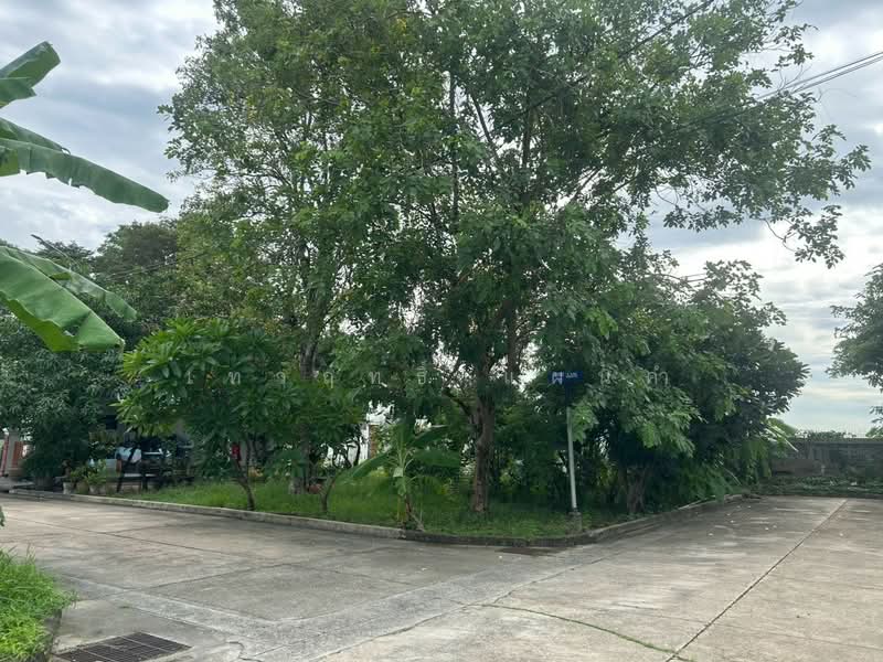 Panya Lake Home : ปัญญาเลคโฮม, กรุงเทพ, ถนน นิมิตใหม่, สามวาตะวันตก, คลองสามวา, กรุงเทพ, 324 ตร.ม., ที่ดิน ขาย, โดย เทวฤทธิ์ แผ่นคำ, 500501289 - DDproperty.com