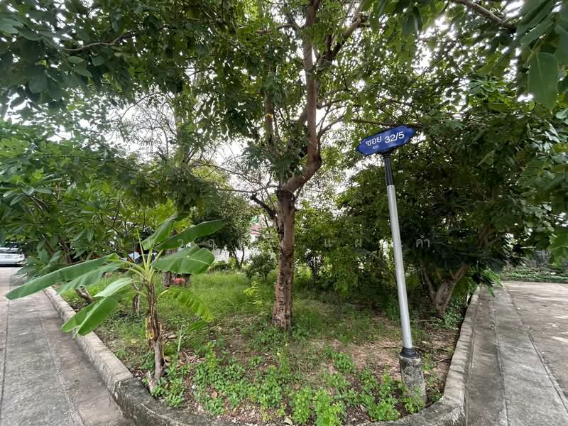 Panya Lake Home : ปัญญาเลคโฮม, กรุงเทพ, ถนน นิมิตใหม่, สามวาตะวันตก, คลองสามวา, กรุงเทพ, 324 ตร.ม., ที่ดิน ขาย, โดย เทวฤทธิ์ แผ่นคำ, 500501289 - DDproperty.com
