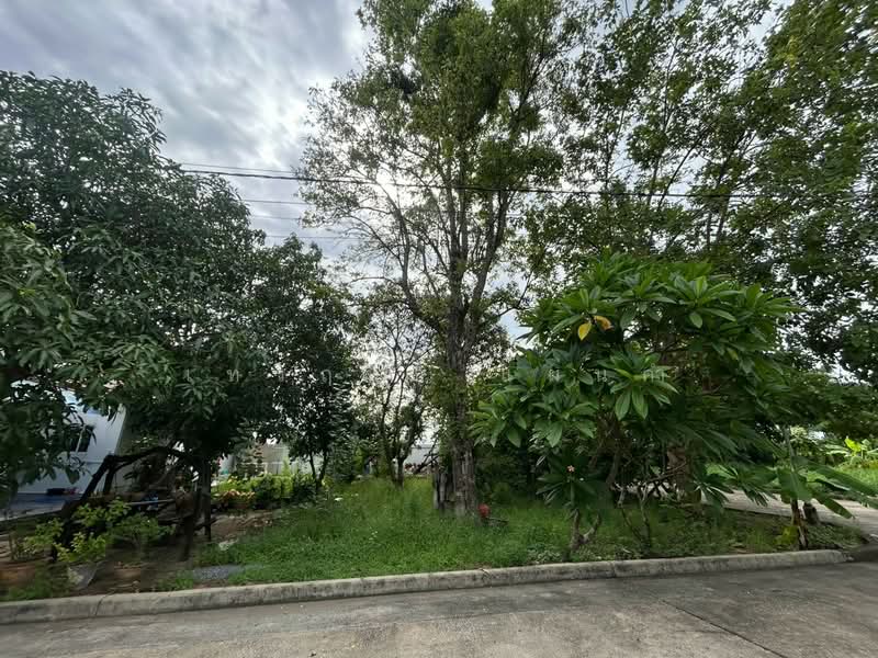 Panya Lake Home : ปัญญาเลคโฮม, กรุงเทพ, ถนน นิมิตใหม่, สามวาตะวันตก, คลองสามวา, กรุงเทพ, 324 ตร.ม., ที่ดิน ขาย, โดย เทวฤทธิ์ แผ่นคำ, 500501289 - DDproperty.com