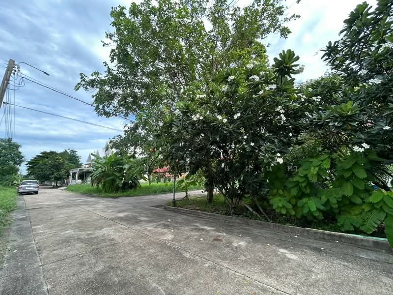Panya Lake Home : ปัญญาเลคโฮม, กรุงเทพ, ถนน นิมิตใหม่, สามวาตะวันตก, คลองสามวา, กรุงเทพ, 324 ตร.ม., ที่ดิน ขาย, โดย เทวฤทธิ์ แผ่นคำ, 500501289 - DDproperty.com