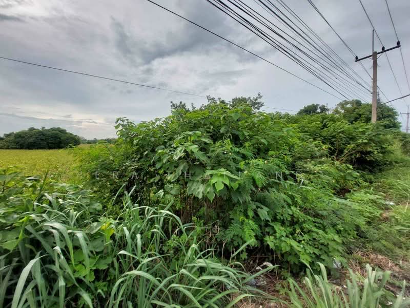ขายที่ดินติดถนนพระพุทธบาท-ท่าเรือ (3022) ใกล้สำนักงานขนส่งจังหวัดสระบุรี สาขาบ้านหมอ, Saraburi, Sang Sok, Ban Mo, Saraburi, , 1,316 sqm, Land For Sale, by ERA Thailand, 500501369 - DDproperty.com
