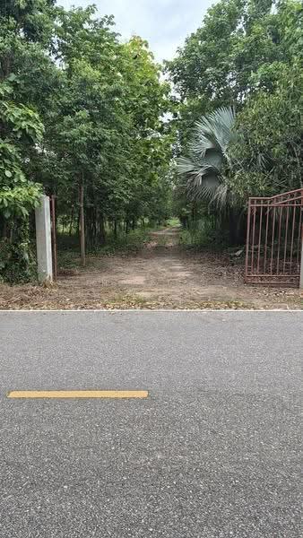 ที่ดินสวนผึ้ง ราชบุรี, Ratchaburi, Pa Wai, Suan Phung, Ratchaburi, , 33,008 sqm, Land For Sale, by The Best Property อิ๋ว, 500501375 - DDproperty.com