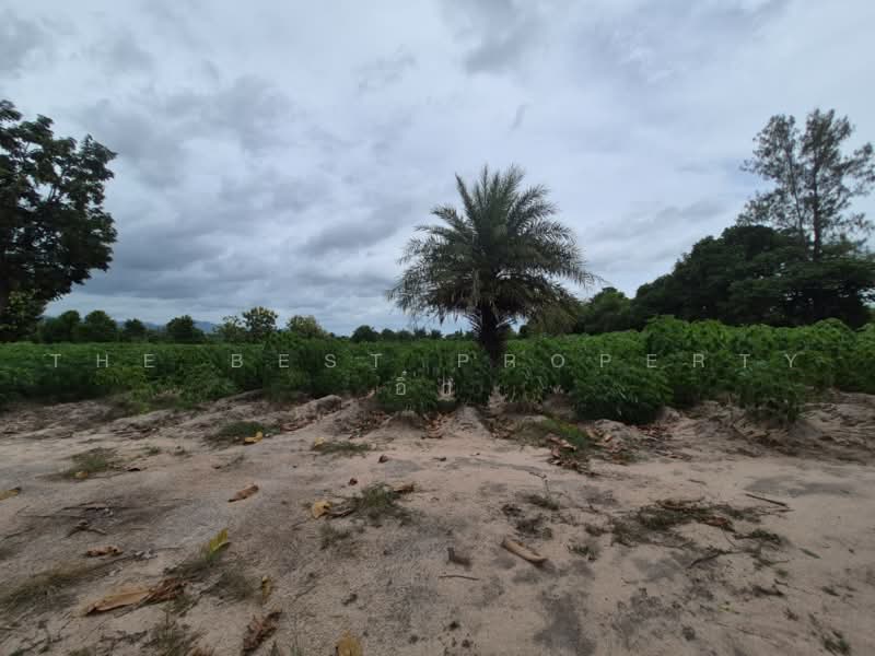 ที่ดินสวนผึ้ง ราชบุรี, Ratchaburi, Pa Wai, Suan Phung, Ratchaburi, , 33,008 sqm, Land For Sale, by The Best Property อิ๋ว, 500501375 - DDproperty.com