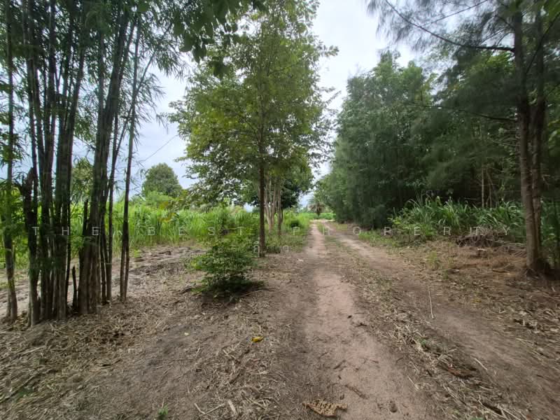 ที่ดินสวนผึ้ง ราชบุรี, ราชบุรี, ป่าหวาย, สวนผึ้ง, ราชบุรี, 33,008 ตร.ม., Land ขาย, โดย The Best Property อิ๋ว, 500501375 - DDproperty.com