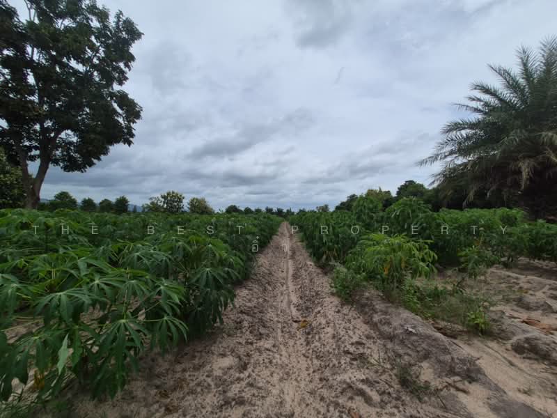ที่ดินสวนผึ้ง ราชบุรี, Ratchaburi, Pa Wai, Suan Phung, Ratchaburi, , 33,008 sqm, Land For Sale, by The Best Property อิ๋ว, 500501375 - DDproperty.com