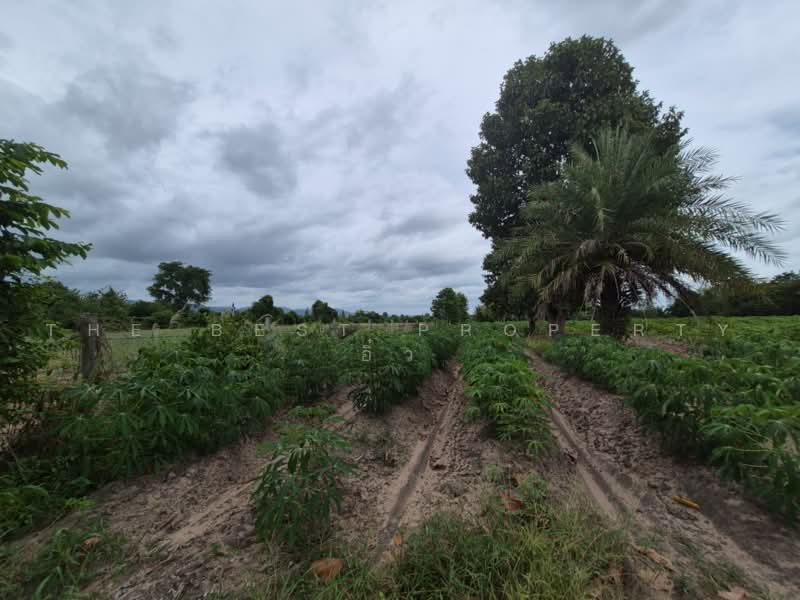 ที่ดินสวนผึ้ง ราชบุรี, Ratchaburi, Pa Wai, Suan Phung, Ratchaburi, , 33,008 sqm, Land For Sale, by The Best Property อิ๋ว, 500501375 - DDproperty.com