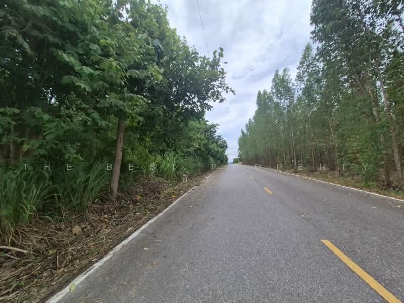 ที่ดินสวนผึ้ง ราชบุรี, ราชบุรี, ป่าหวาย, สวนผึ้ง, ราชบุรี, 33,008 ตร.ม., Land ขาย, โดย The Best Property อิ๋ว, 500501375 - DDproperty.com