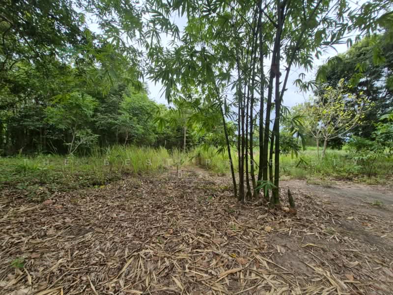 ที่ดินสวนผึ้ง ราชบุรี, Ratchaburi, Pa Wai, Suan Phung, Ratchaburi, , 33,008 sqm, Land For Sale, by The Best Property อิ๋ว, 500501375 - DDproperty.com