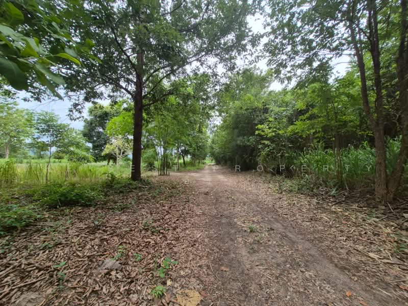 ที่ดินสวนผึ้ง ราชบุรี, Ratchaburi, Pa Wai, Suan Phung, Ratchaburi, , 33,008 sqm, Land For Sale, by The Best Property อิ๋ว, 500501375 - DDproperty.com