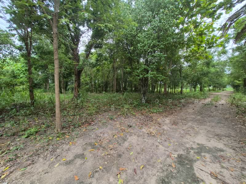 ที่ดินสวนผึ้ง ราชบุรี, Ratchaburi, Pa Wai, Suan Phung, Ratchaburi, , 33,008 sqm, Land For Sale, by The Best Property อิ๋ว, 500501375 - DDproperty.com