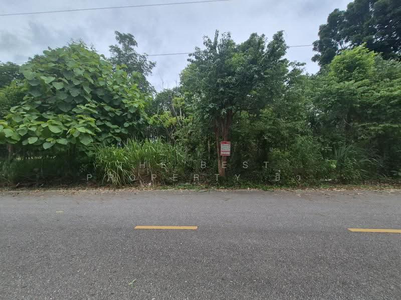 ที่ดินสวนผึ้ง ราชบุรี, Ratchaburi, Pa Wai, Suan Phung, Ratchaburi, , 33,008 sqm, Land For Sale, by The Best Property อิ๋ว, 500501375 - DDproperty.com