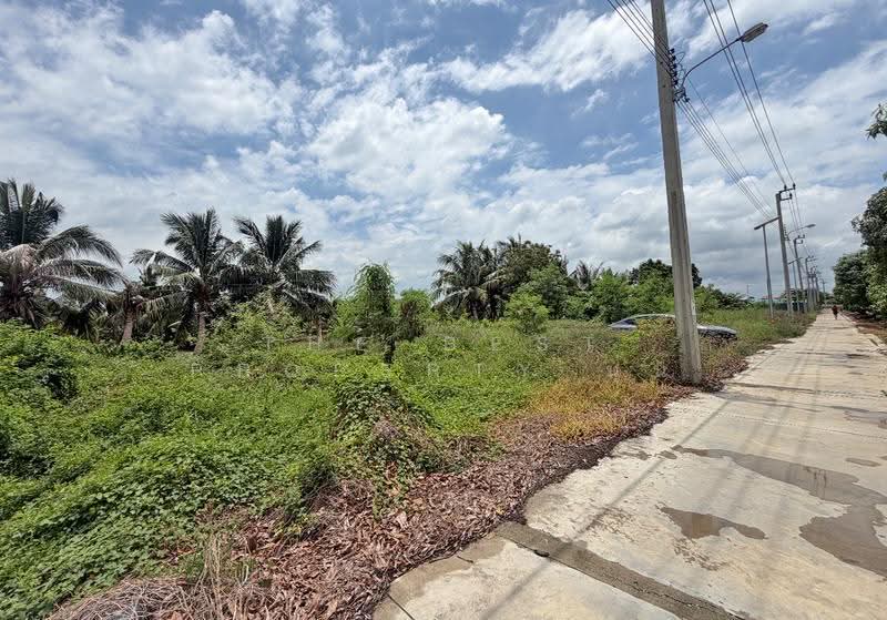ที่ดินบางเสาธง สมุทรปราการ, Samut Prakan, Srisa Chorakhe Yai, Bang Sao Thong, Samut Prakan, , 1,264 sqm, Land For Sale, by The Best Property นุ่น, 500501405 - DDproperty.com