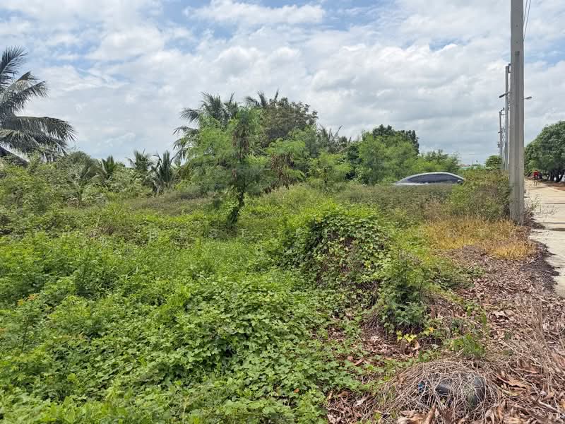 ที่ดินบางเสาธง สมุทรปราการ, Samut Prakan, Srisa Chorakhe Yai, Bang Sao Thong, Samut Prakan, , 1,264 sqm, Land For Sale, by The Best Property นุ่น, 500501405 - DDproperty.com