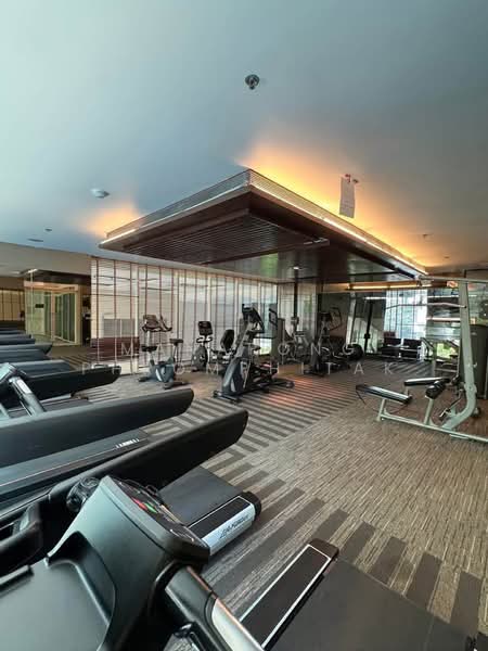 The Address Chidlom, Bangkok, Ploenchit Road, Lumphini, Pathum Wan, Bangkok, 3 Bedrooms, 184 sqm, Condo For Rent, by Manapong Phromphitak, 500501468 - DDproperty.com
