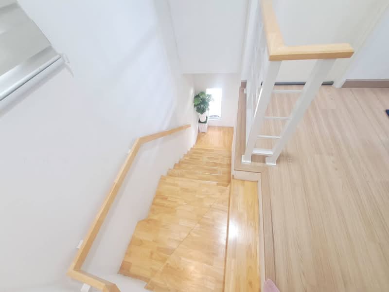 พฤกษา ลำลูกกา-วงแหวน, Pathum Thani, Lam Luk Ka, Pathum Thani, 3 Bedrooms, 100 sqm, Townhouse For Sale, by The Best Property แหม่ม, 500501512 - DDproperty.com
