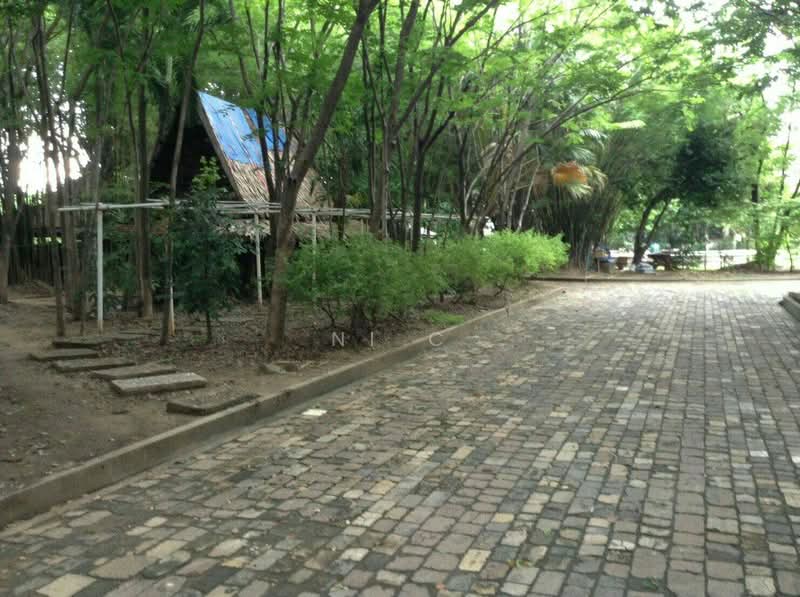 บ้านและที่ดินถนนติวานนท์, นนทบุรี, ตลาดขวัญ, เมืองนนทบุรี, นนทบุรี, 400 ตร.ม., บ้านเดี่ยว ขาย, โดย ni c, 500501521 - DDproperty.com