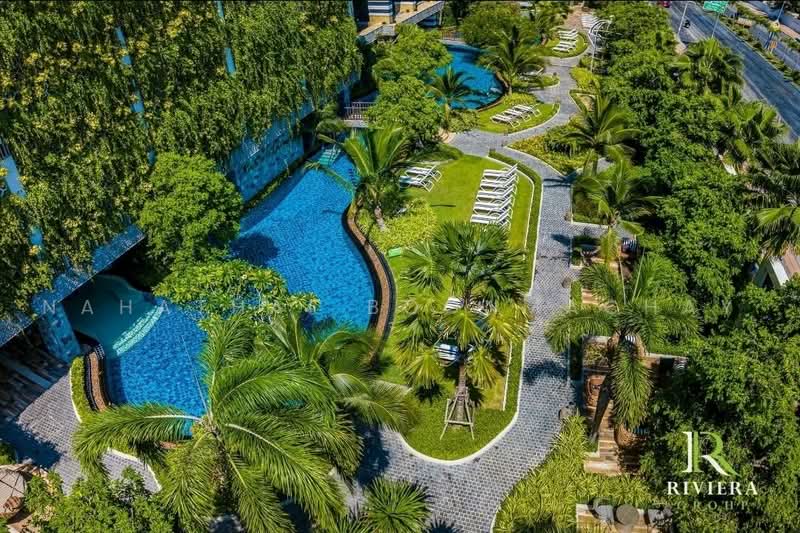 The Riviera Jomtien, Chon Buri (Pattaya), Pattaya Sai 2 Road, Nong Pru, Bang Lamung (Pattaya), Chon Buri (Pattaya), Studio, 33 sqm, Condo For Sale, by Nahathai Boonmachay, 500501550 - DDproperty.com