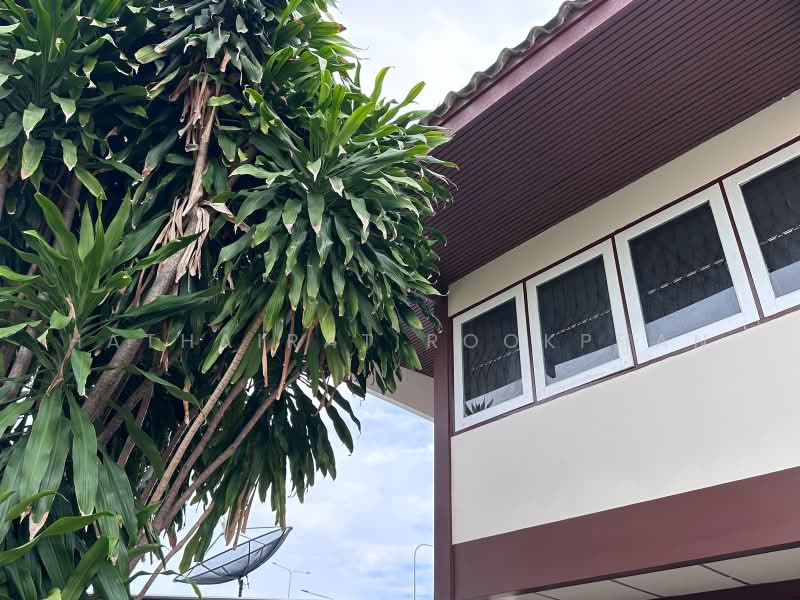 3-BR House, Bangkok, Anusaowari, Bang Khen, Bangkok, 3 Bedrooms, 240 sqm, Single Detached House For Rent, by Hathairat Rookphan, 500501774 - DDproperty.com