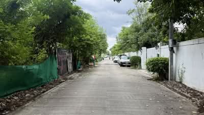 ขาย - ที่ดินเปล่า 203 ตร.ว. ซอยอ่อนนุช53 แยก1-12 ถนนอ่อนนุช, กรุงเทพ