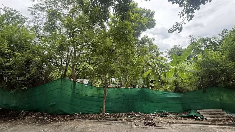 ที่ดินเปล่า 203 ตร.ว. ซอยอ่อนนุช53 แยก1-12 ถนนอ่อนนุช, กรุงเทพ, ถนนอ่อนนุช, บางจาก, พระโขนง, กรุงเทพ, 812 ตร.ม., ที่ดิน ขาย, โดย คุณ วนิดา แสนทวีสุข (นิ), 500501777 - DDproperty.com