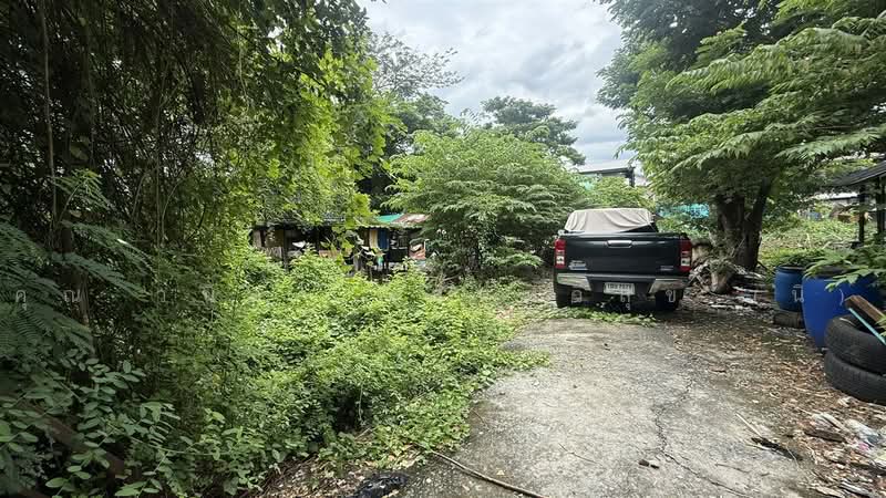 ที่ดินเปล่า 203 ตร.ว. ซอยอ่อนนุช53 แยก1-12 ถนนอ่อนนุช, กรุงเทพ, ถนนอ่อนนุช, บางจาก, พระโขนง, กรุงเทพ, 812 ตร.ม., ที่ดิน ขาย, โดย คุณ วนิดา แสนทวีสุข (นิ), 500501777 - DDproperty.com