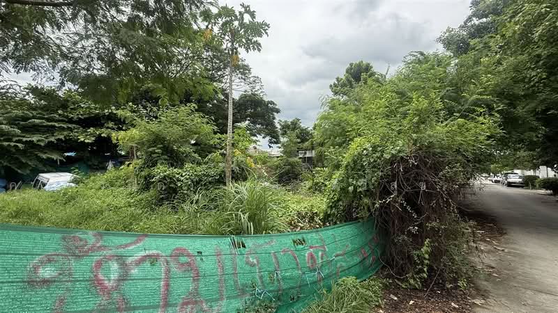 ที่ดินเปล่า 203 ตร.ว. ซอยอ่อนนุช53 แยก1-12 ถนนอ่อนนุช, กรุงเทพ, ถนนอ่อนนุช, บางจาก, พระโขนง, กรุงเทพ, 812 ตร.ม., ที่ดิน ขาย, โดย คุณ วนิดา แสนทวีสุข (นิ), 500501777 - DDproperty.com