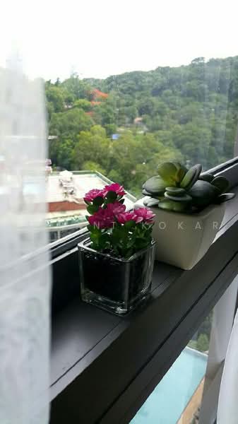 Unixx South Pattaya, Chon Buri (Pattaya), Village No. 12 163, Nong Pru, Bang Lamung (Pattaya), Chon Buri (Pattaya), 1 Bedroom, 27 sqm, Condo For Sale, by Vikrant Kokar, 500501803 - DDproperty.com