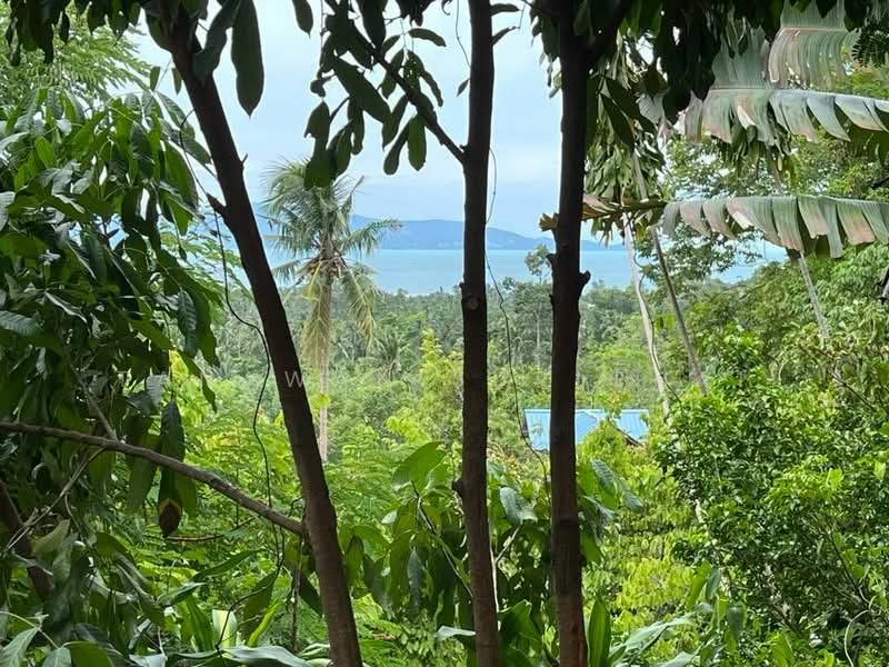 2-BR House, Surat Thani, Ko Phangan, Surat Thani, 2 Bedrooms, 66 sqm, Single Detached House For Sale, by Tanawan Surichai, 500501913 - DDproperty.com