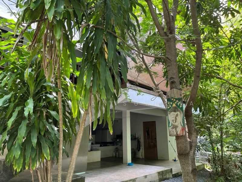 2-BR House, Surat Thani, Ko Phangan, Surat Thani, 2 Bedrooms, 66 sqm, Single Detached House For Sale, by Tanawan Surichai, 500501913 - DDproperty.com