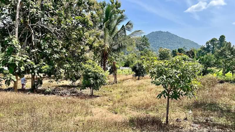 Studio House, Surat Thani, Maret, Ko Samui, Surat Thani, Studio, 47 sqm, Single Detached House For Sale, by Thanyalag Chanchodtanakul, 500501938 - DDproperty.com