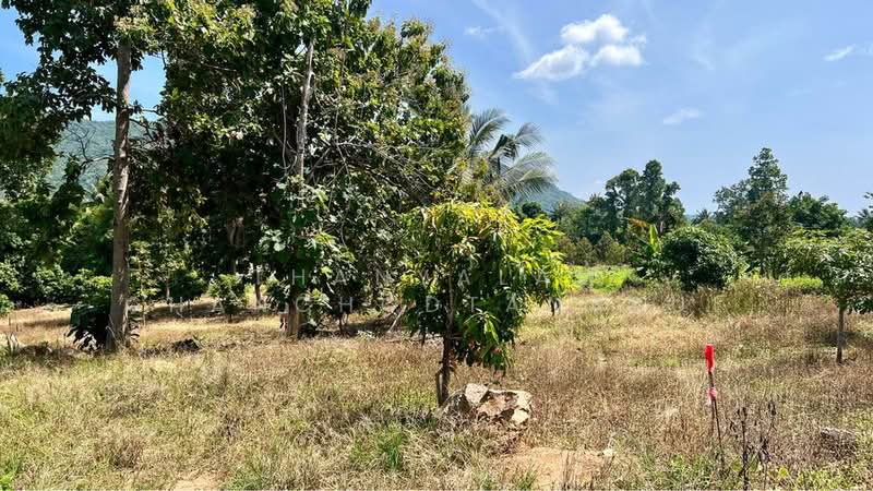 Studio House, Surat Thani, Maret, Ko Samui, Surat Thani, Studio, 47 sqm, Single Detached House For Sale, by Thanyalag Chanchodtanakul, 500501938 - DDproperty.com