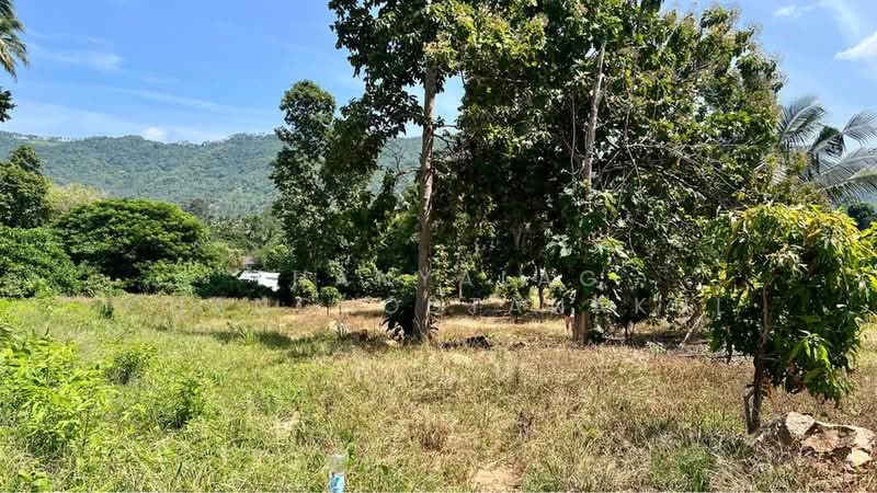 Studio House, Surat Thani, Maret, Ko Samui, Surat Thani, Studio, 47 sqm, Single Detached House For Sale, by Thanyalag Chanchodtanakul, 500501938 - DDproperty.com