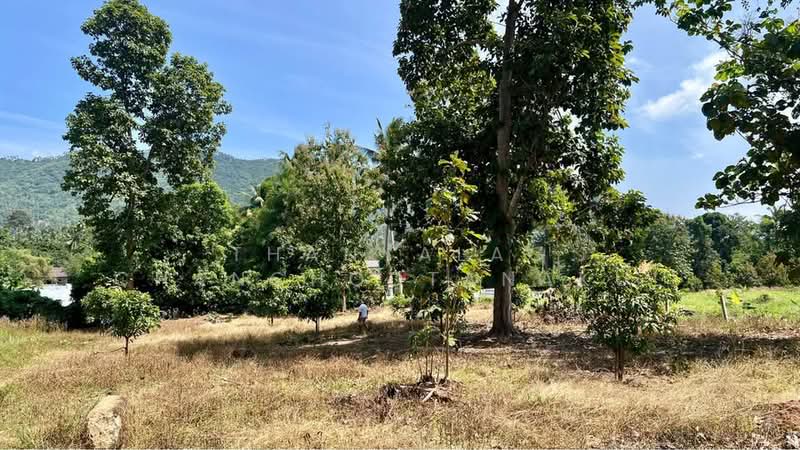 Studio House, Surat Thani, Maret, Ko Samui, Surat Thani, Studio, 47 sqm, Single Detached House For Sale, by Thanyalag Chanchodtanakul, 500501938 - DDproperty.com