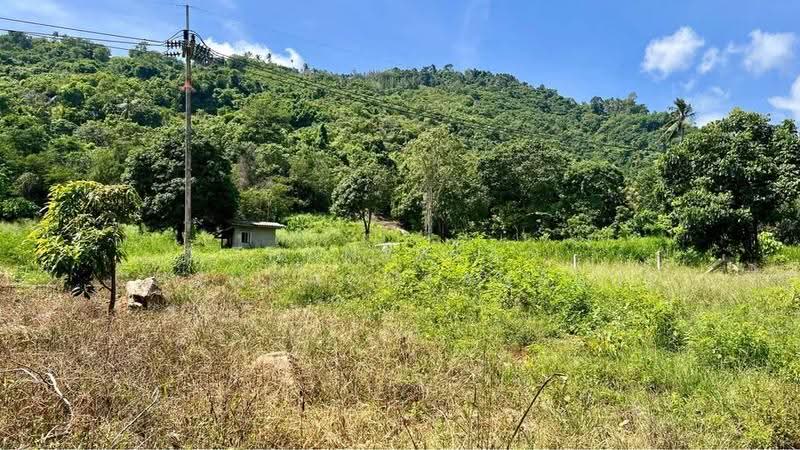 Studio House, Surat Thani, Maret, Ko Samui, Surat Thani, Studio, 47 sqm, Single Detached House For Sale, by Thanyalag Chanchodtanakul, 500501938 - DDproperty.com