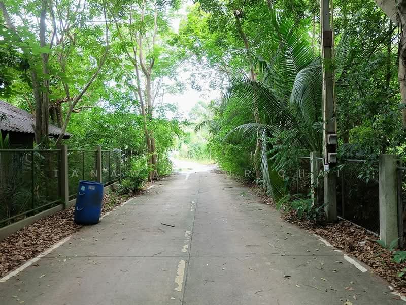 3-BR House, Chon Buri (Pattaya), Ta Khian Tia, Bang Lamung (Pattaya), Chon Buri (Pattaya), 3 Bedrooms, 560 sqm, Single Detached House For Sale, by Tanawan Surichai, 500501951 - DDproperty.com