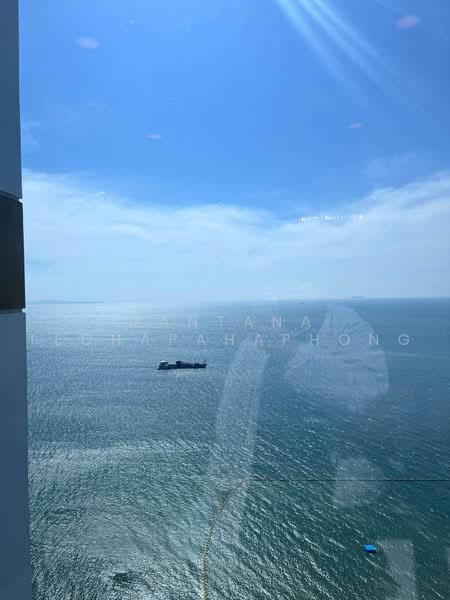 Copacabana Beach Jomtien : โคปาคาบาน่า บีช จอมเทียน, ชลบุรี, ตำบลหนองปรือ อำเภอบางละมุง ชลบุรี, หนองปรือ, บางละมุง, ชลบุรี, 63 ตร.ม., คอนโด ให้เช่า, โดย Mantana Techapahaphong, 500501974 - DDproperty.com