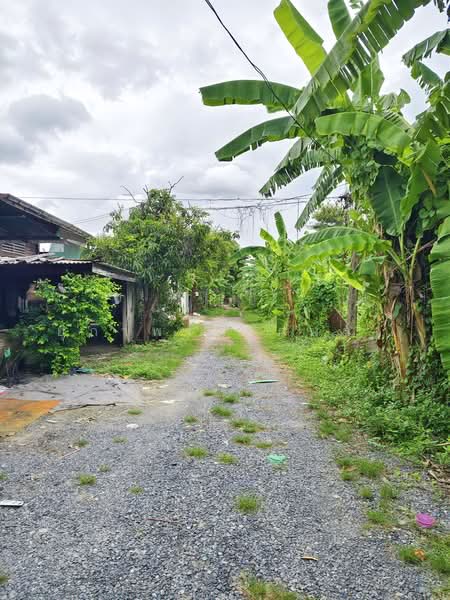ที่ดิน ถนนรามอินทรา 46 กรุงเทพมหานคร, Bangkok, Ram Inthra, Khan Na Yao, Bangkok, , 800 sqm, Land For Sale, by ยุภาพร ศุภผลา, 500502152 - DDproperty.com