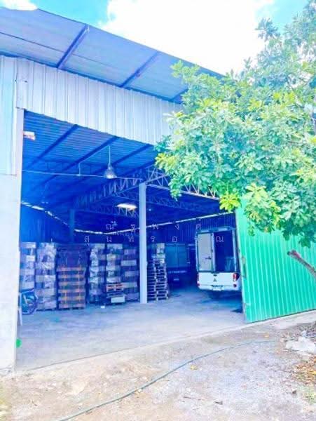 ไม่พบโครงการ, กรุงเทพ, ถนนพุทธมณฑลสาย 2 สาย 3, บางไผ่, บางแค, กรุงเทพ, 450 ตร.ม., โกดัง-โรงงาน ให้เช่า, โดย ณัฐพงศ์ สุนทรอรุณ, 500502278 - DDproperty.com