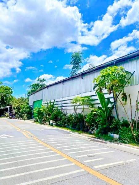 ไม่พบโครงการ, Bangkok, ถนนพุทธมณฑลสาย 2 สาย 3, Bang Phai, Bang Khae, Bangkok, , 450 sqm, Warehouse/Factory For Rent, by ณัฐพงศ์ สุนทรอรุณ, 500502278 - DDproperty.com