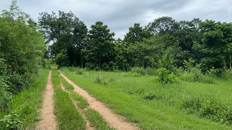 ที่ดินดอนหัน ขอนแก่น, Khon Kaen, Don Han, Muang Khon Kaen, Khon Kaen, , 10,040 sqm, Land For Sale, by The Best Property นก, 500502297 - DDproperty.com