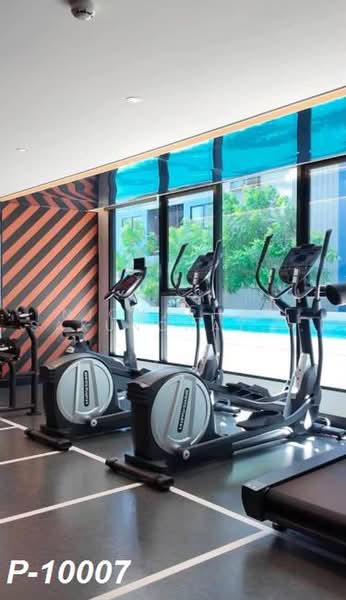The Origin Bangkae, Bangkok, Bang Khae, Bangkok, 1 Bedroom, 24 sqm, Condo For Rent, by Nichaphat Sakunchayapha, 500502335 - DDproperty.com