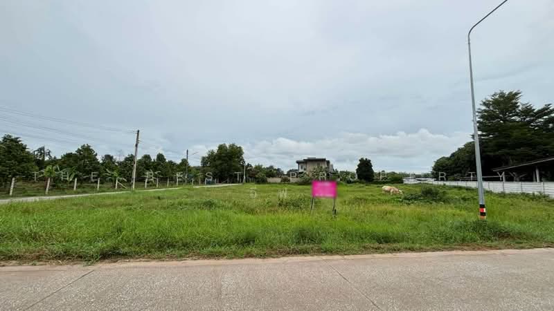 ที่ดินพร้อมบ้านเดี่ยวบ้านค่าย ระยอง, ระยอง, ตาขัน, บ้านค่าย, ระยอง, 3,272 ตร.ม., ที่ดิน ขาย, โดย The Best Property อีฟ, 500502362 - DDproperty.com