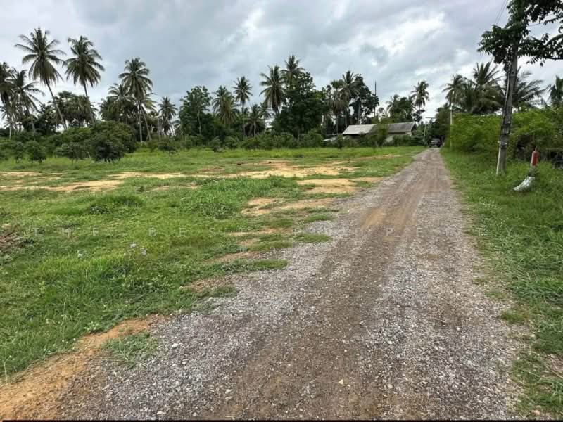 ที่ดินดอนยาง เพชรบุรี, Phetchaburi, Don Yang, Muang Phetchaburi, Phetchaburi, , 4,713 sqm, Land For Sale, by The Best Property ต่าย, 500502364 - DDproperty.com