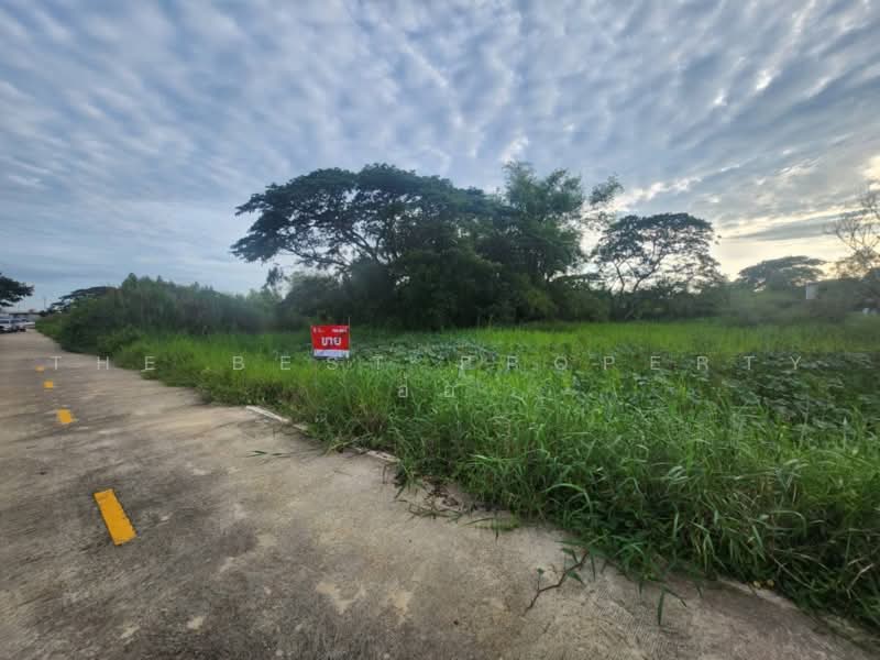 ที่ดินไทรน้อย นนทบุรี, Nonthaburi, Nong Prao Ngai, Sai Noi, Nonthaburi, , 1,600 sqm, Land For Sale, by The Best Property อ้อ, 500502368 - DDproperty.com