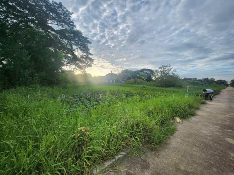 ที่ดินไทรน้อย นนทบุรี, Nonthaburi, Nong Prao Ngai, Sai Noi, Nonthaburi, , 1,600 sqm, Land For Sale, by The Best Property อ้อ, 500502368 - DDproperty.com